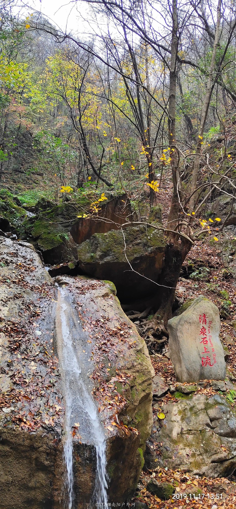 IMG_20191117_152602 - 副本