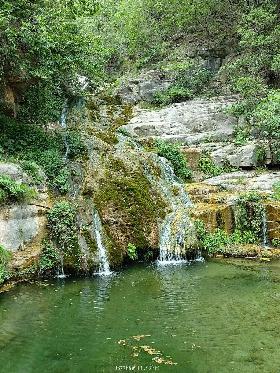 mmexport1591452375991