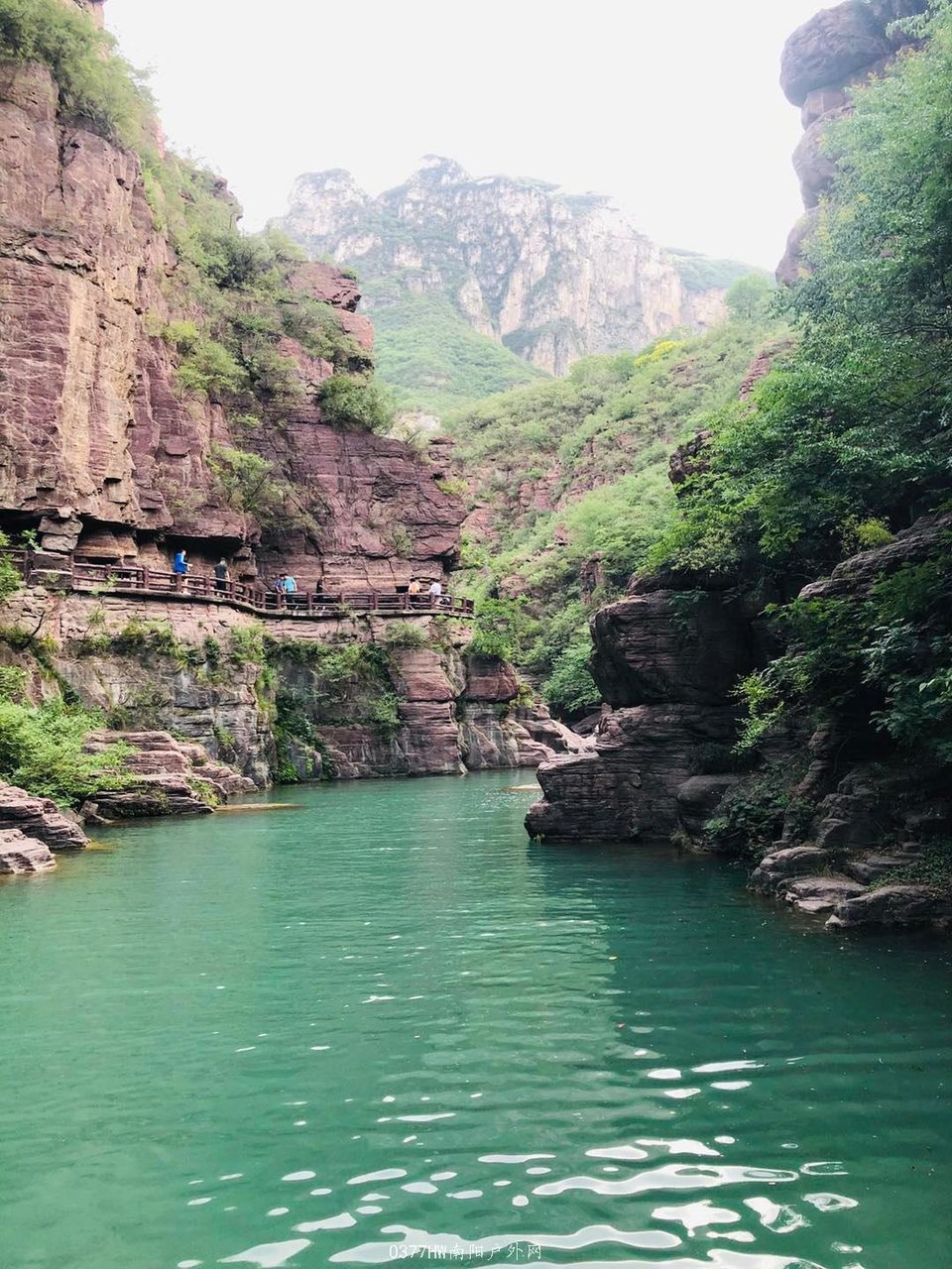 mmexport1591528735423