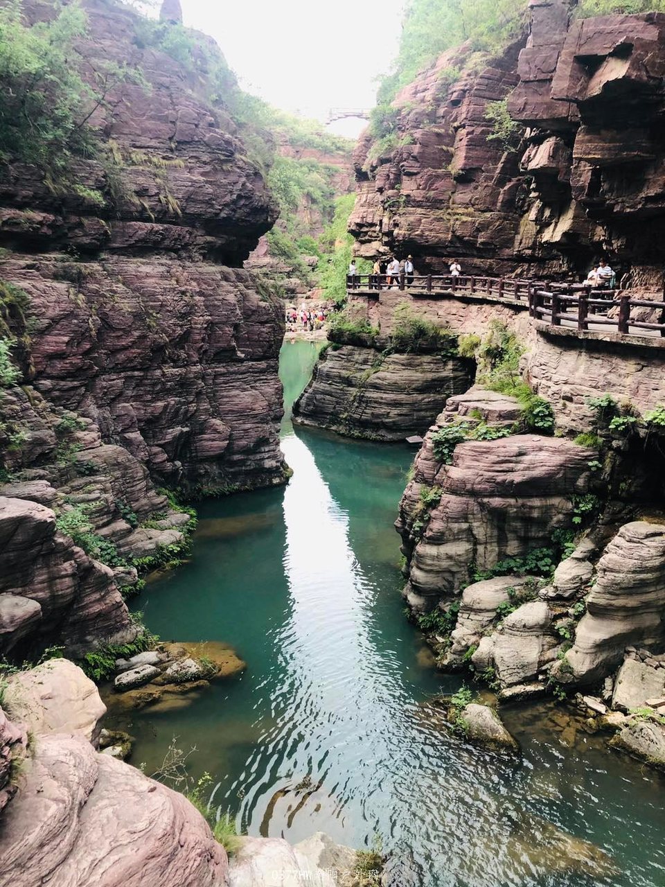 mmexport1591528749956