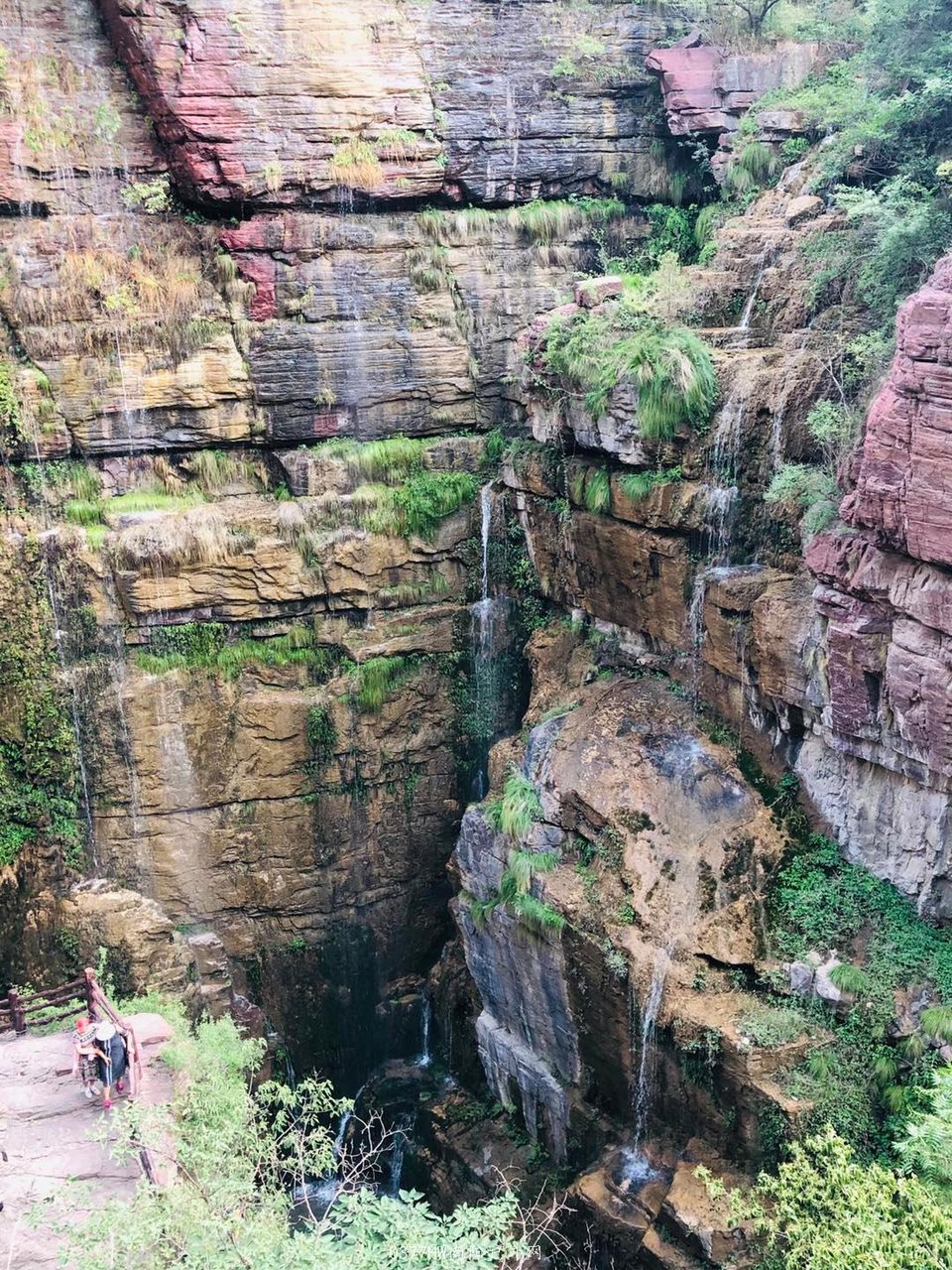 mmexport1591528753772