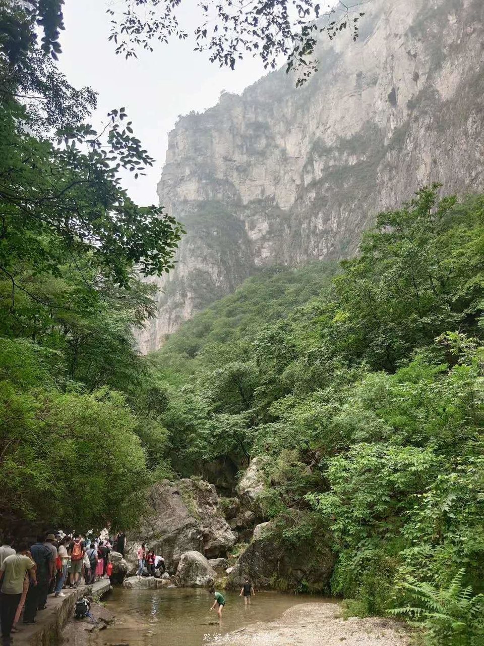 BgQgzfL-afKRQQ4ZglOqf0tfoLnghz8oDkxzfQ6ZDZCC3oqIMhgd8dWKROc3DH19