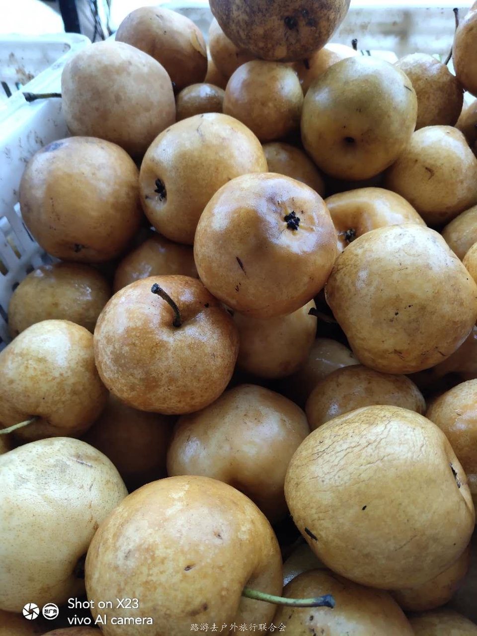 CEReFv8LolbSDY7lmXV32r5xrutUeUmURGtJQymr-gKguEtDn4tvHdyRqcMG6ITT