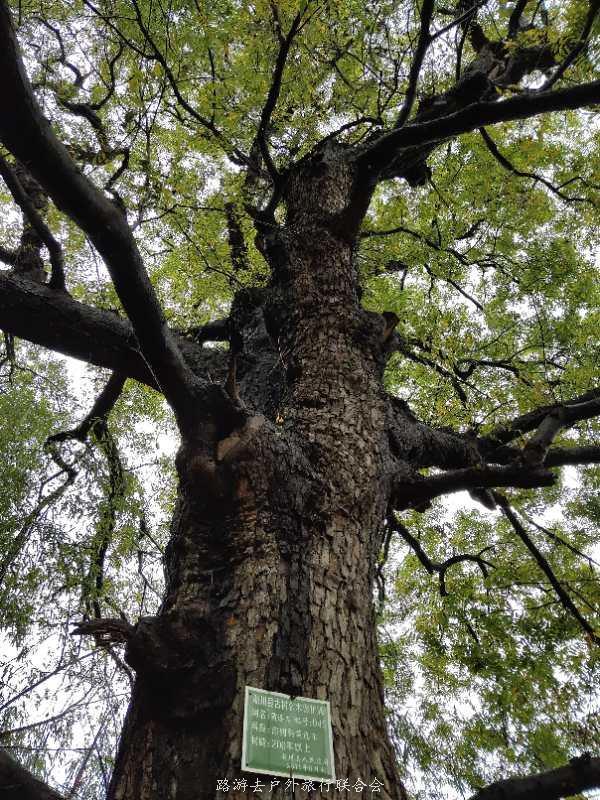 微信图片_20201003103359