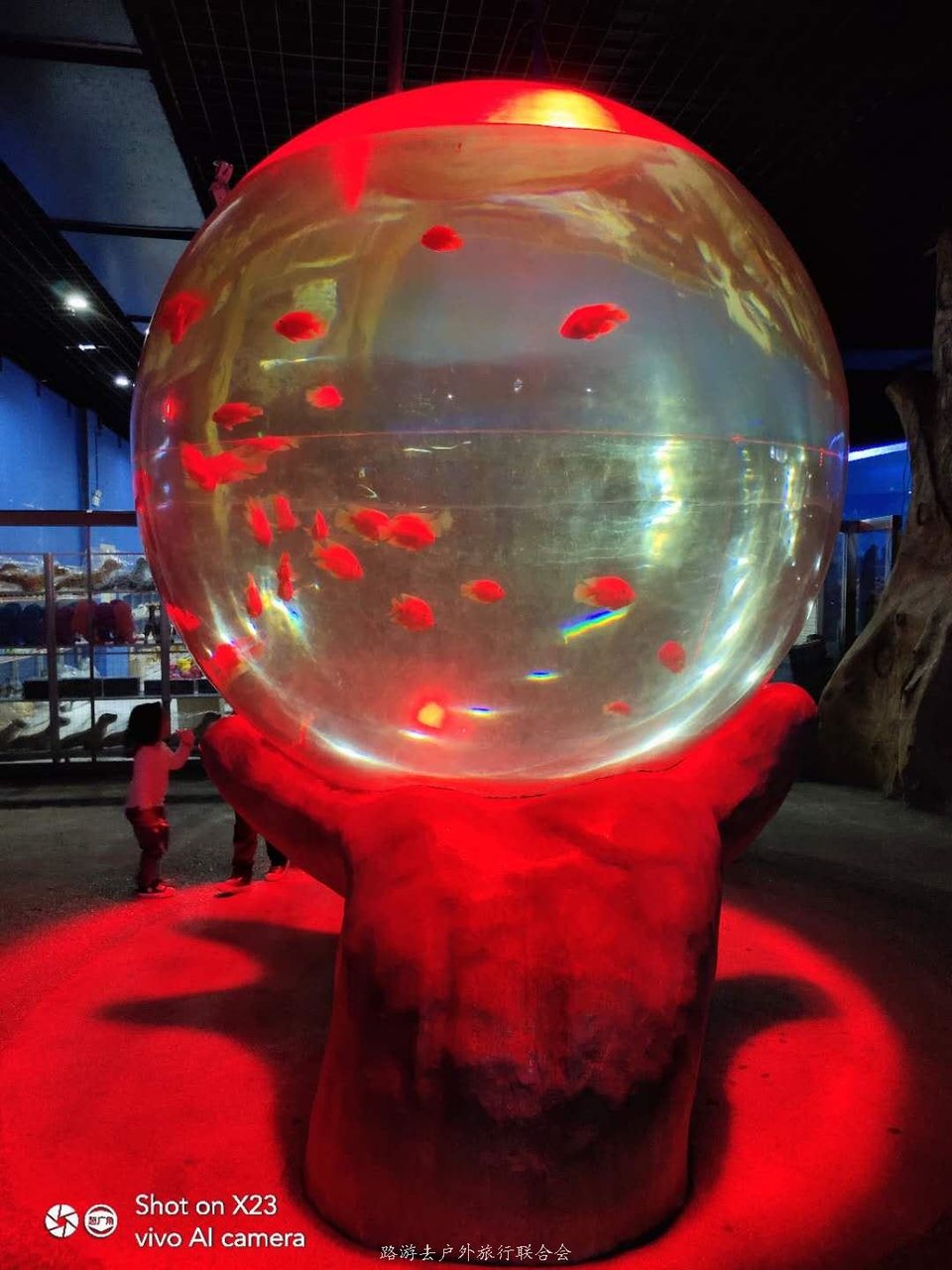 FMpIhXSKEHEo_eH7My1LRoqacgH7jmkYCadsdqaAv2XwE17chJNeka6Wb0dBssBn