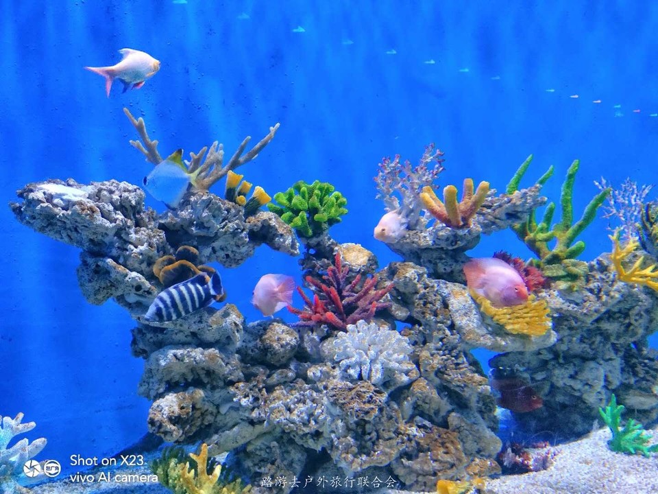 sGs9tXVh54j-uW5noiUZuWhb47KKjp-7t16Mr-02mCHl-bIKLFLf2vdBLHFCMk3j