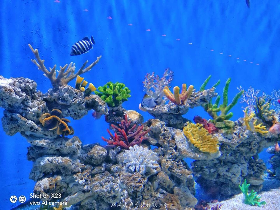 5NmhIfyrLi8I-uumuOuHDh2nTZlU8kE69lnXijahem-NzITNr_480tsHNx8Q4o8C