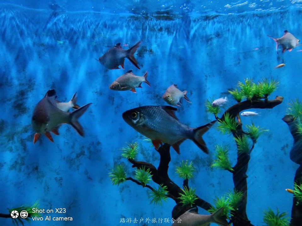 M4SzdgpLk6NxPVMbsNdj41mEjhaFU4YklfG7hoOl8CDxAY1PPaI4yGDpQxoDyXZz