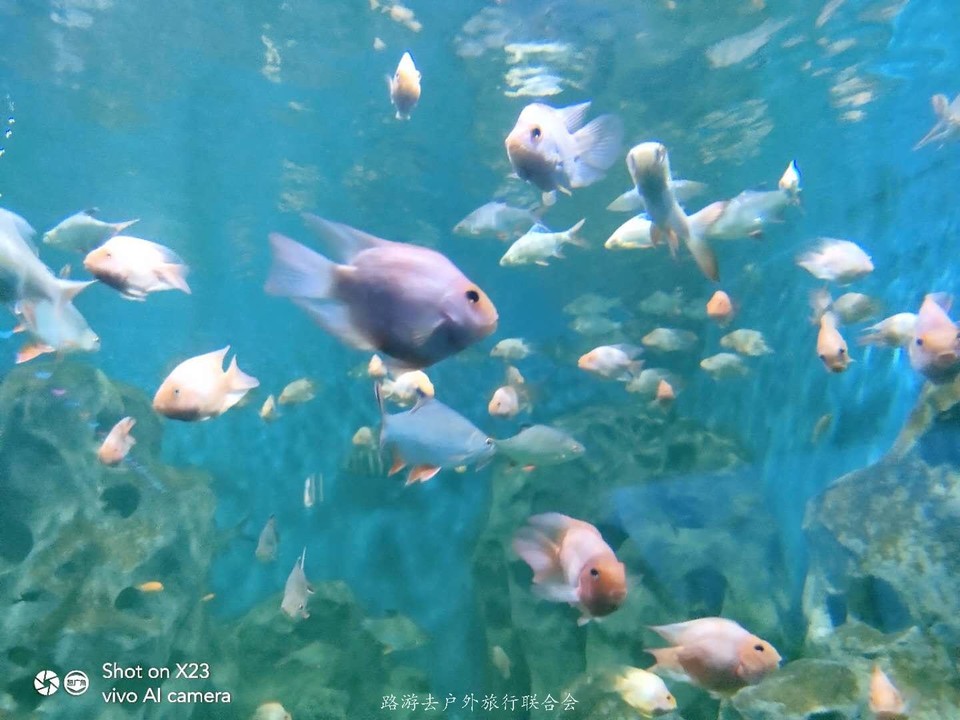 ybNgGeVd80Gl02Ja7b7nm4xBzIRB36x2xNL194L67Rxy6WczP94plWX9UvVgAvME