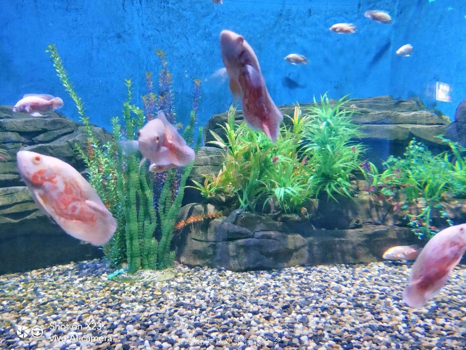 MATCbK1CN0omNljWa5AhAAb1qirq3wCKMrYgxsFdPQl5t16QRTPjSv_JLrpK6otO