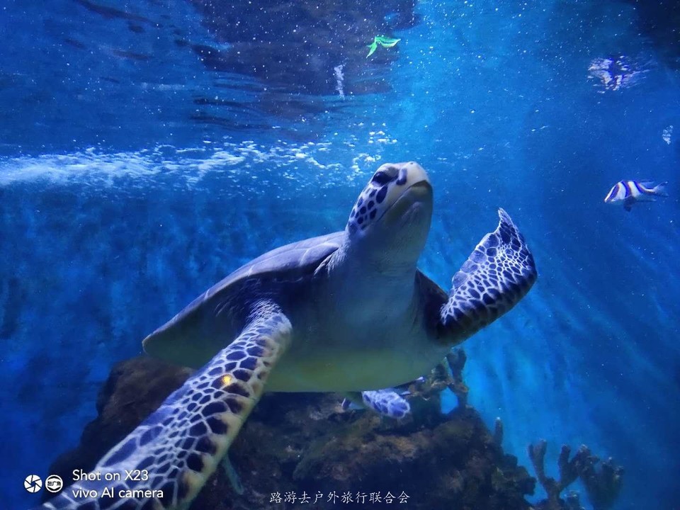 YUDxWyWMAkfu90xQmnfXML9hE0Fl6btiLulGMRMxgdxq2fKh5sD4YKpotxks08X3