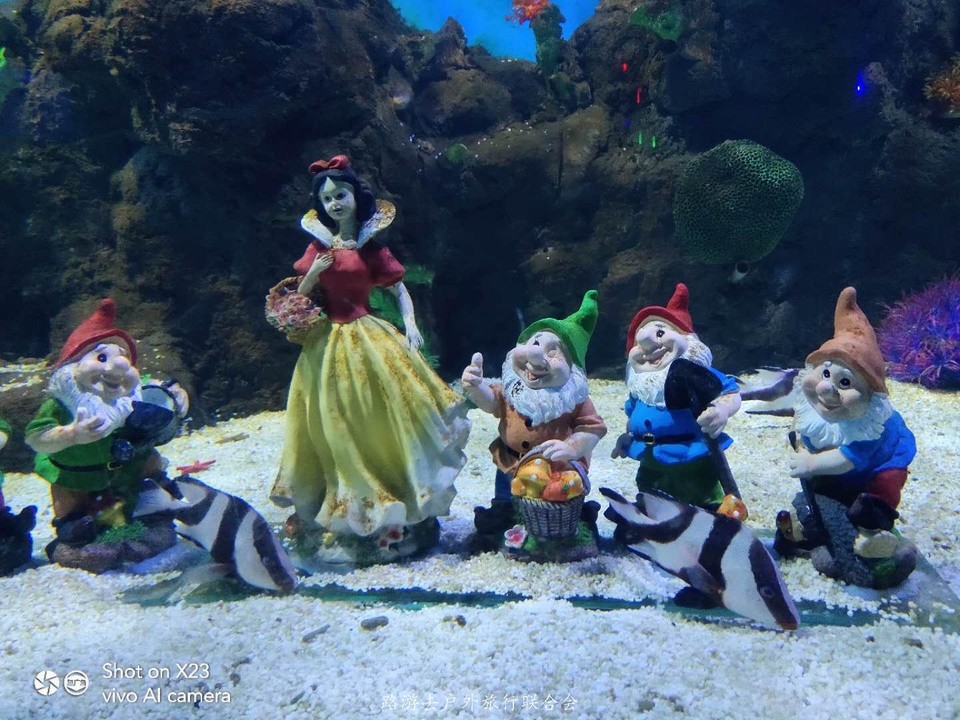 La3Ujc5oB2yXH2Eygb8oENG_DeFeVPEv2X8pW5m8kQNMrl9LJB9PfCBdjEGUQyeg