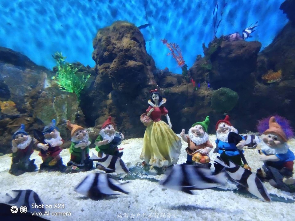 RxQW1nx1YTfUQPicfnPI6O3kOWvQybbQi0Jz1-nvIokFS5Lu9GUdNASeOxOdBtIs