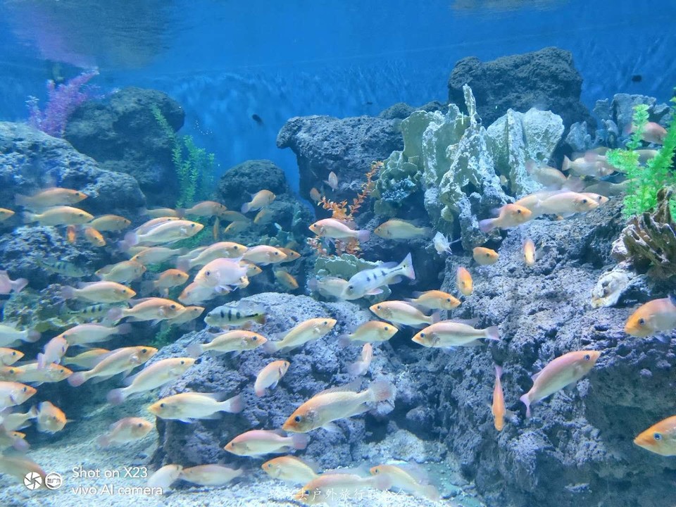 pcVMkUoNghZyTts_9ph4V6J86P9G9No6__b-dRYrFrzJdB5KkMi6Uvb06GLWHDu-