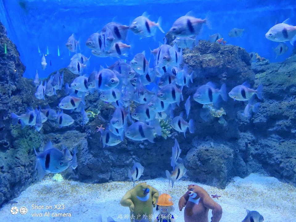 nwrgT9aZqbvoccTUspLFTKm7GeRjjl5qC6Yt3s4LiRUCYim7TXfvfaD_J5yzU251