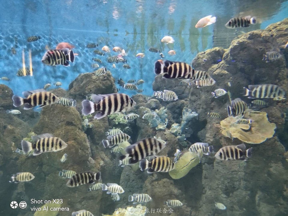 GKgonDGeg8B-JONCzdmYrjwh0yqQtSSrYonzuJ_9ZrzisIcb4WMo4Qc4TmkOI2MW