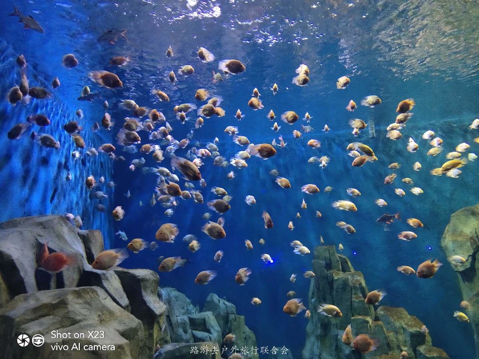 w0JLNWJqiiiOipJ7NyMnRrY4di0iC0buq2-_PVUnG5WZD-vciv-au5O87uRxaY__