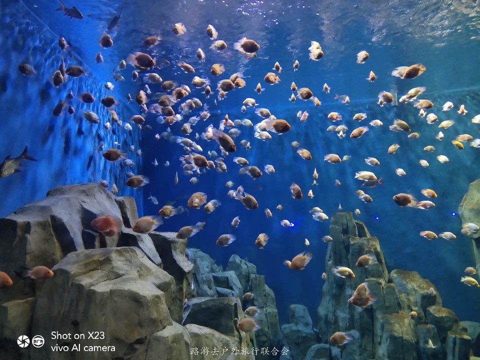 HOglfEqHaiLrVMvdNvPAomUGyfY5gDpyxbur72NtSpKelPqmgG6G0I6taS4aa2Ma