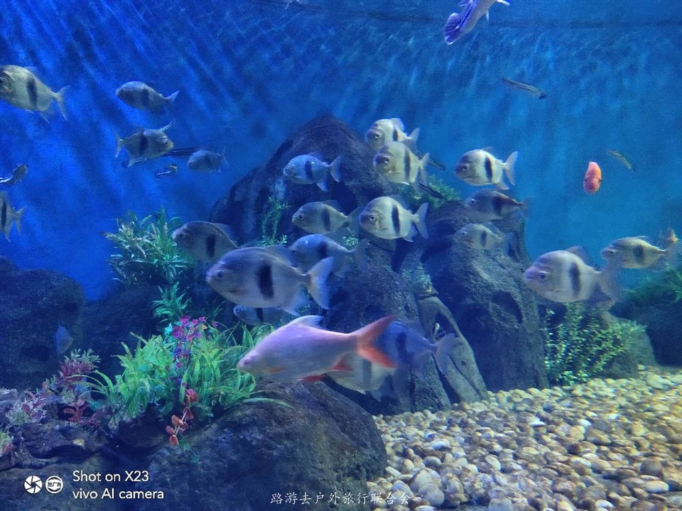 zME0DuHy4Wii076XG0d1N3n09LDsylzPCDCGpcqOT8je173EcdNTy1oUeqxFWgLY