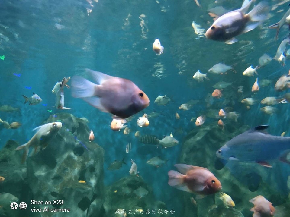 MBf1B1XIRUCFxCau3OMFX7ckHK6I1pS6erI0DZpJV_SvlAbzt9OQHgMD2WGJTBY-