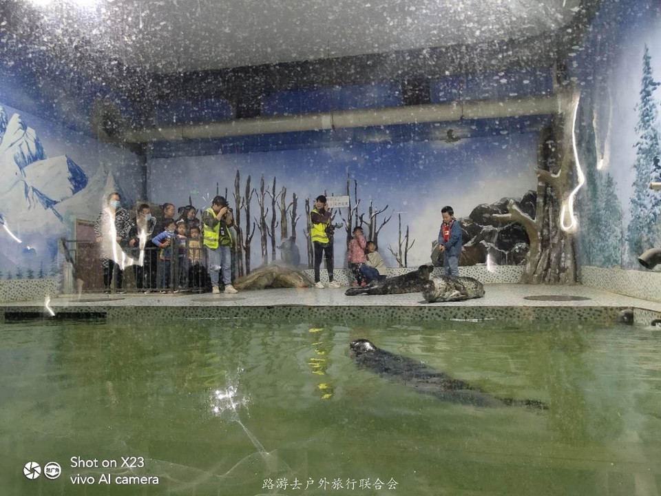 QhMOzxmvtYpPA45K5fdYQq7gil2027BUqSt5A23V-AFzgoY4LQjBUTHHBQXh7YaU