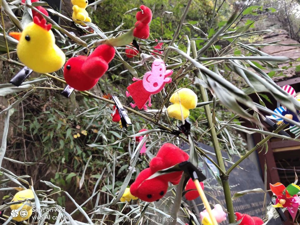 4xuDXb6cC8PdCicNfd__nohEdab9jaJnStUQztNVETUCdyhHqTY7rG72ONpFjdY5