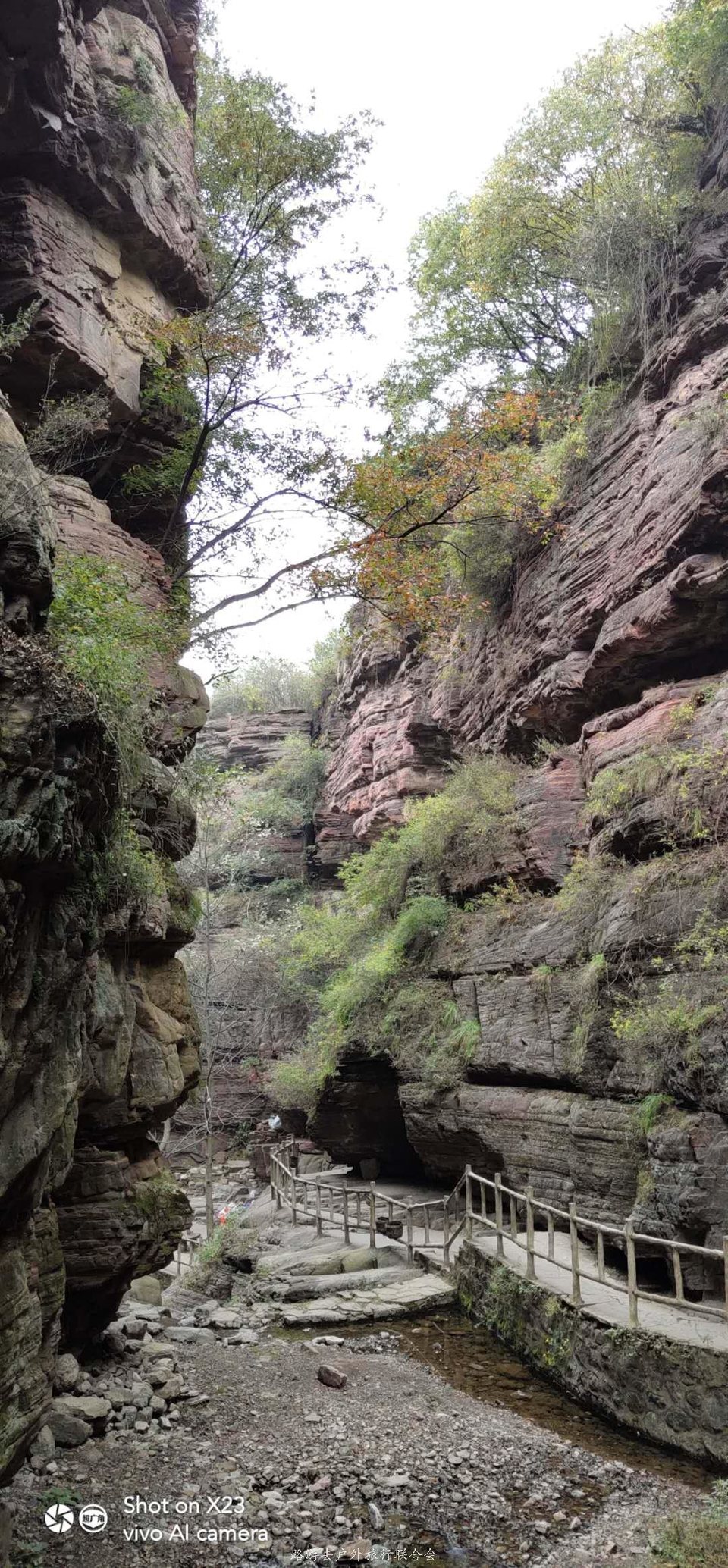 XtuRCn0pWhj7lte8Z6AVGUhtJwNafeJSpMliQvv5T5fEfK1kc8vzyN4oijn5cTpm