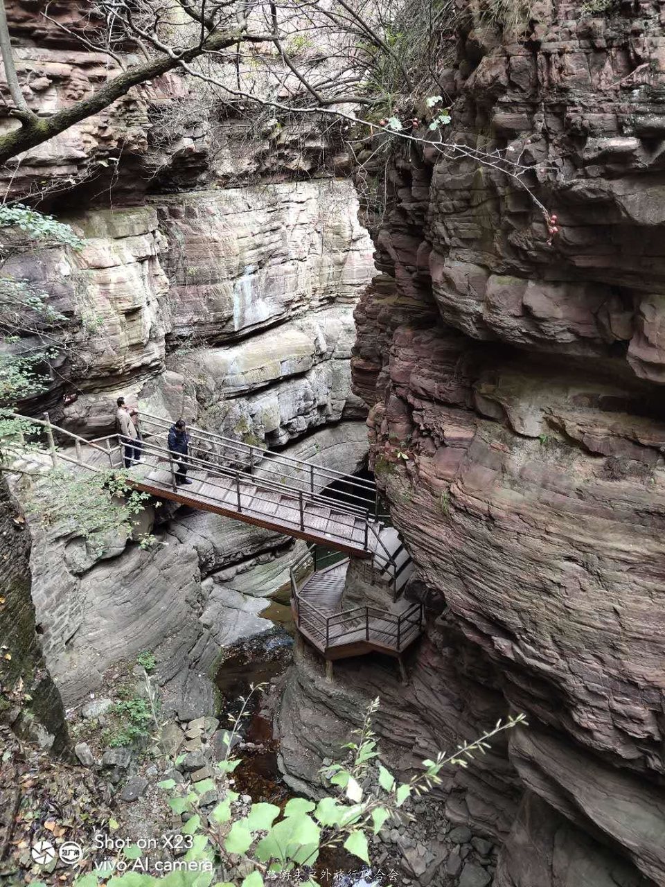 s6Kfy2Q0Vb3PvqqAuSIQHLy6UXbP7L0DvUVEcLvNkZr_YsP-yM73OQyTnagjozXz