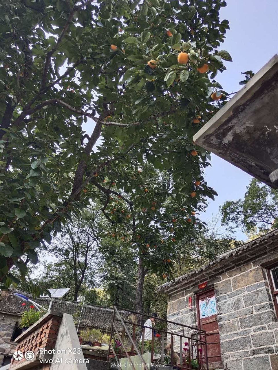 sWgoCYVfR0L8J5CR4iPpZtITbQ2pLBPxPr6CTlWqc7iTrmDHR83RsLbvZVLAnnYg