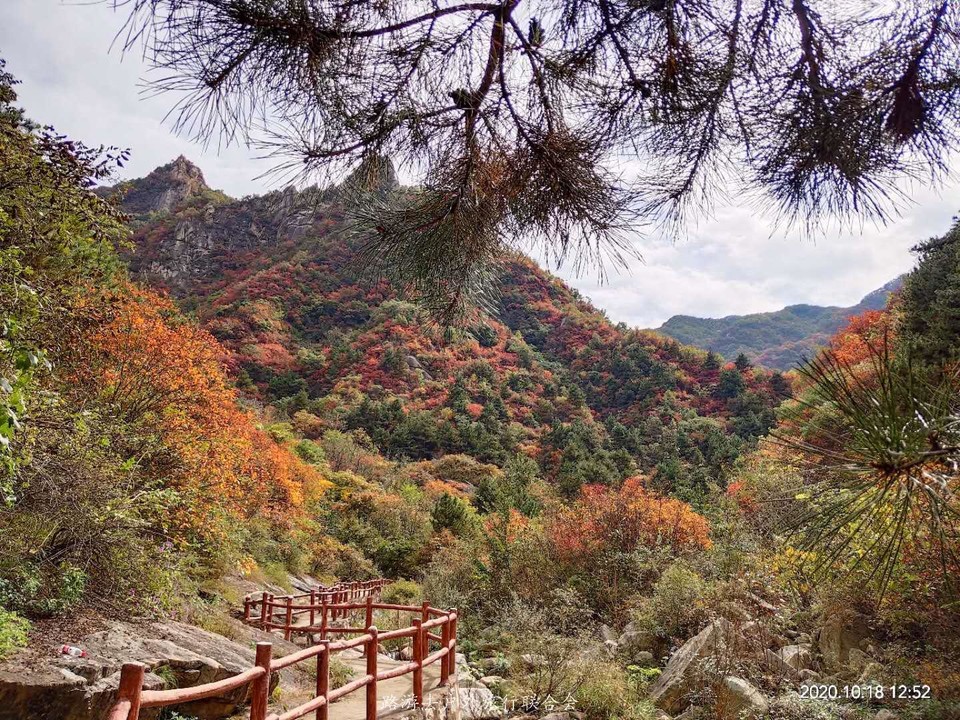 v6hSRo9wDikRRZc75G4T_bmx64QHN7PA5XI7fFdUCjV98t0SVl4z5uYbFfdAVflQ