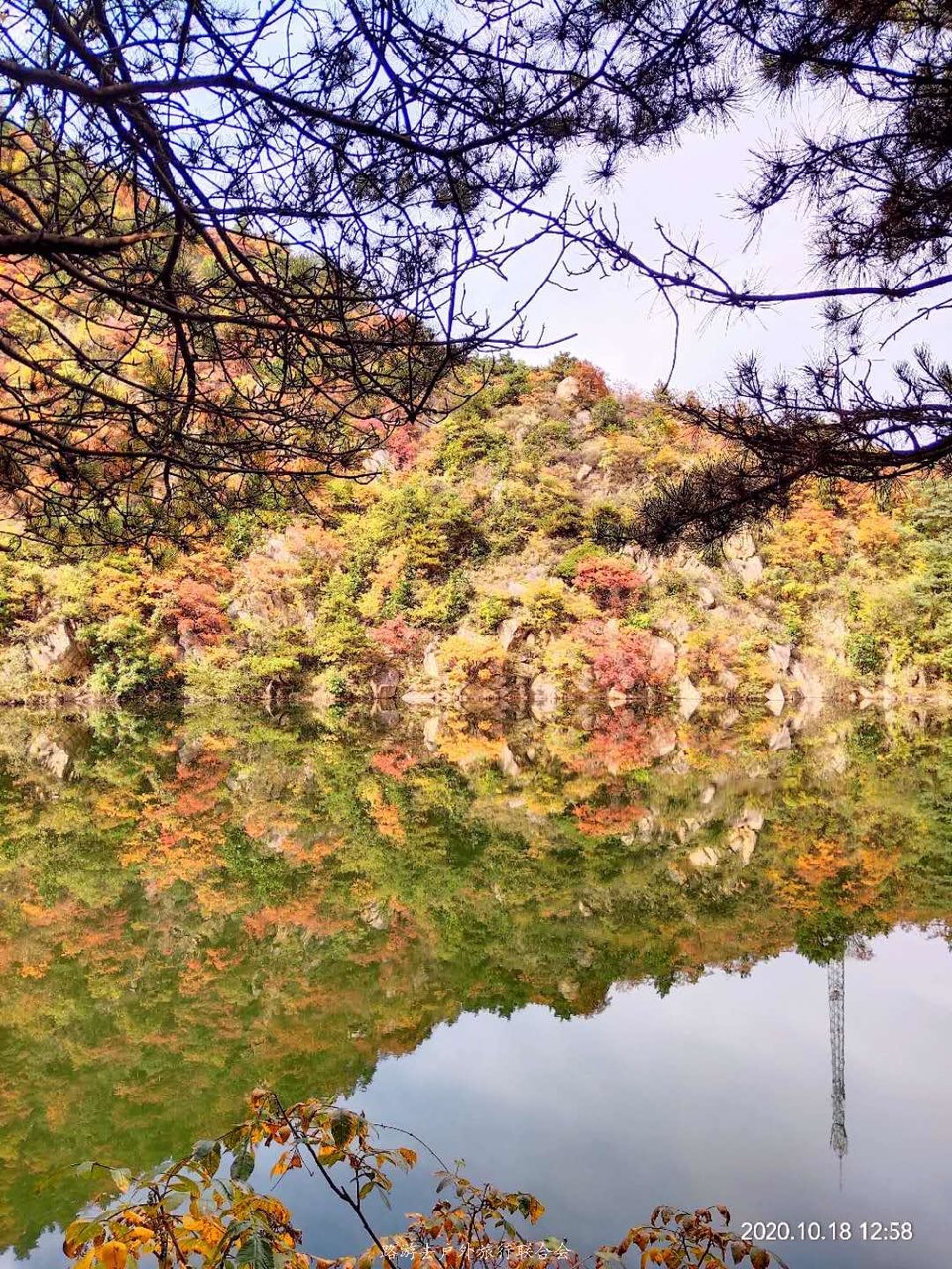 rORtz4XayvJitBONcgatR6QthppSap0QVRlX2A9M685HglGZO6DZYboUk4PgRQYM