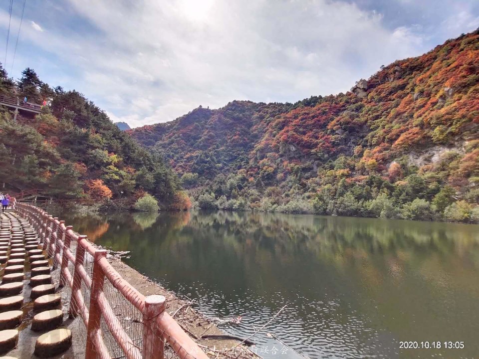 Ww982YK50ZSG7ZbyKk671E541r0Ps0Dn_7n8qjQHUvZowYgIfn7TJ7MMdqsLWB5h