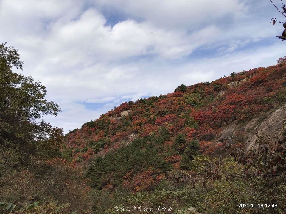 fWCkPqsTh1GUtSfOTFe9epNBh6wkotdnWsii_N_grw9ztJLT5dtopP5-39dWulGX