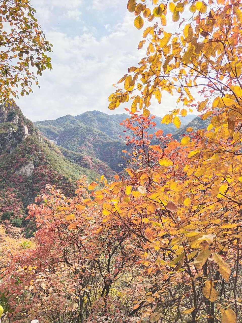 R0ILfxvTSFxVZVj6Hm_7oqJ6r52z916iGnWDmtRiw5cqaE57llMzRbTClu72SW3o