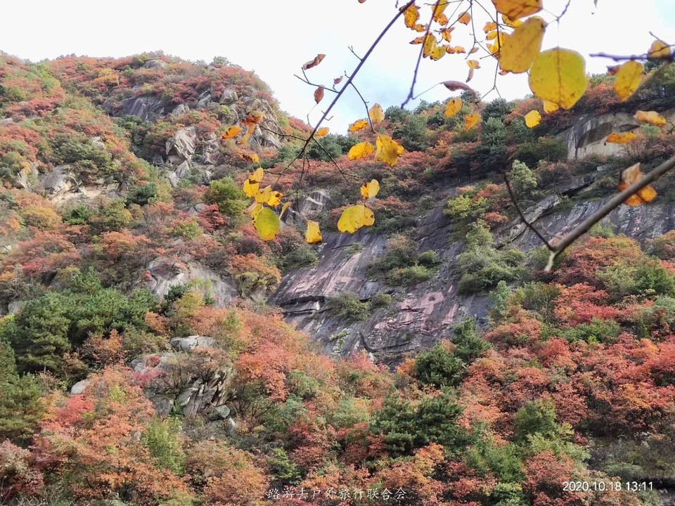 7I4hNazMJZ5Ex6M4kZrNDtTKQy-XTqMWQ8hetPk3l420PgBfewwtB89BwDtAr7iM