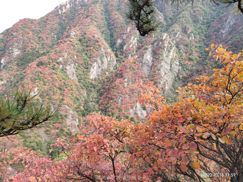 RDsoEwsnZR0PYk5TviWH_Im04KWJJa3nags3f-6nZav1pUGgEuQqcnsMvIzqRSia