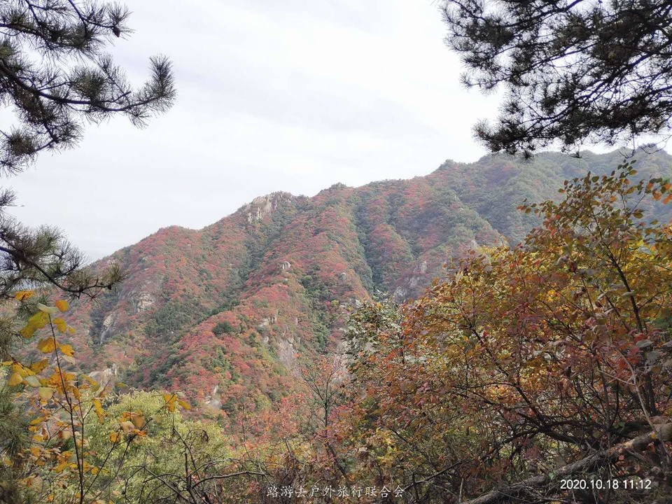 oCHmSbNggTjUA3mjLISrDCB9m9Lv3tG2y4J_5aod-vxaqVMbs0oMwFfxGTAiWdSJ