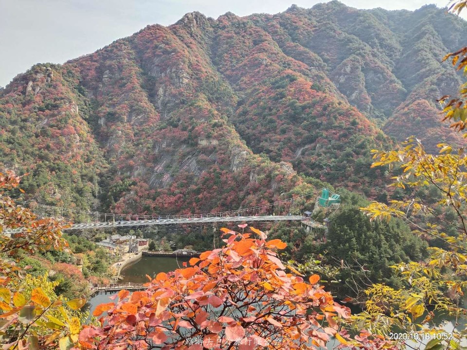 XHCz-ezNQl0aChetS5bN4FCe6okcDSF8zbwYC8wsXrR9NOkTaglC7XqpMx7NsKtZ