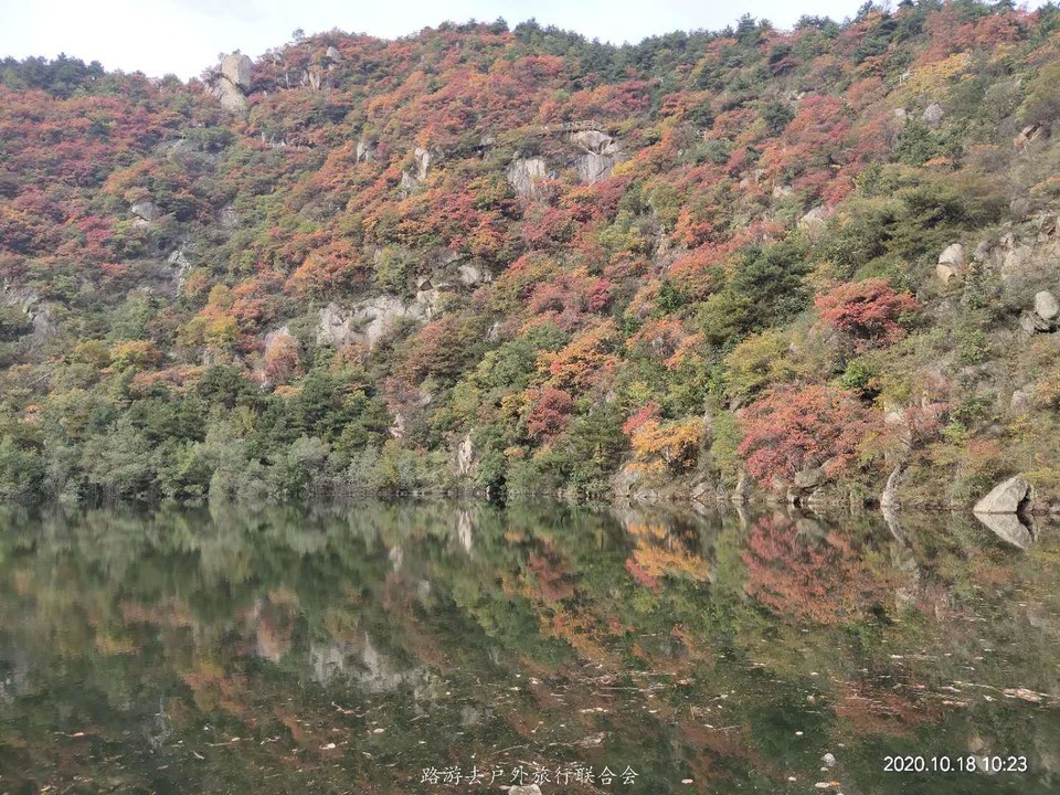 XliOYf9869f_7kurMboIMJBIqbCAHL9lboJhuUNfR6c3MjMlezw3Iqj2YNl4nylk