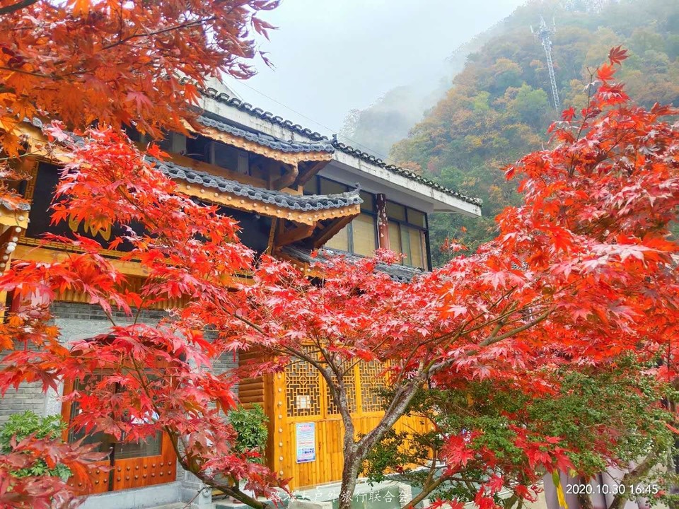 myDfyfyiCBvq5NCDbsNxOfMc_GgXvfW43W_CTvd8Kkm9H3AFXIP3KoWC6dA_7CWl