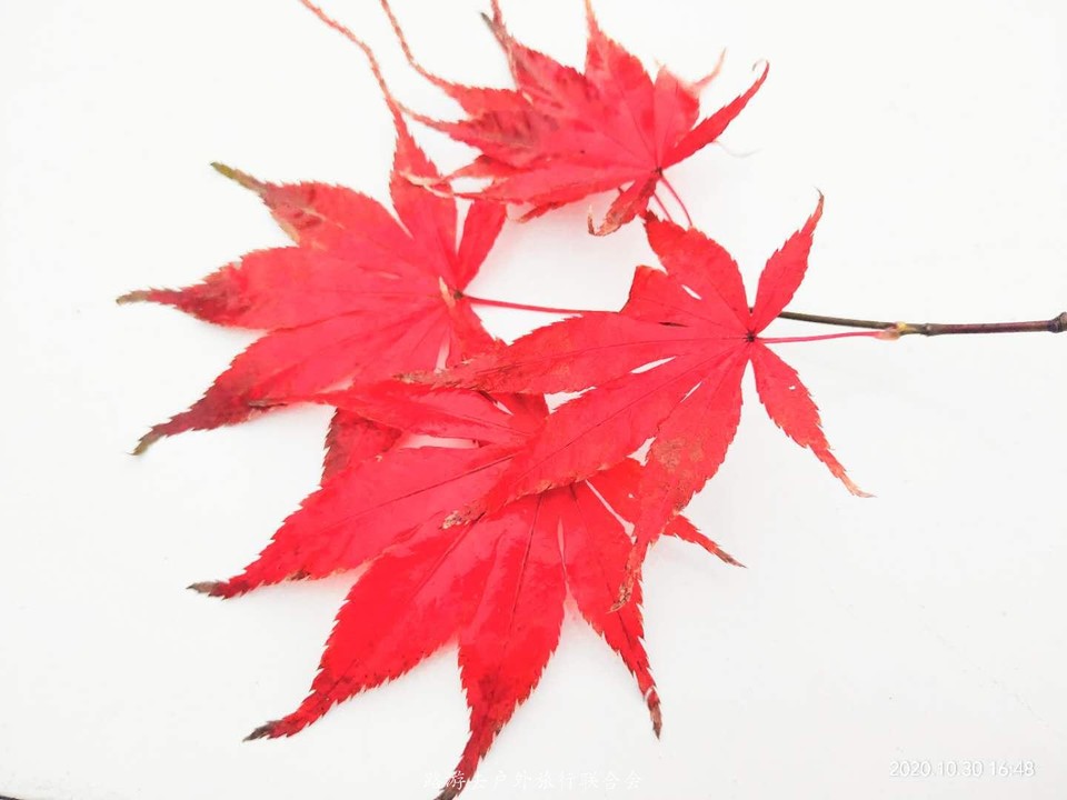 H8lwFNpmSIY9mCXmsrhsPbK65pLMkz4MfgJ6MOHaJUfewEIwm3nWF1znLTDxdV0j