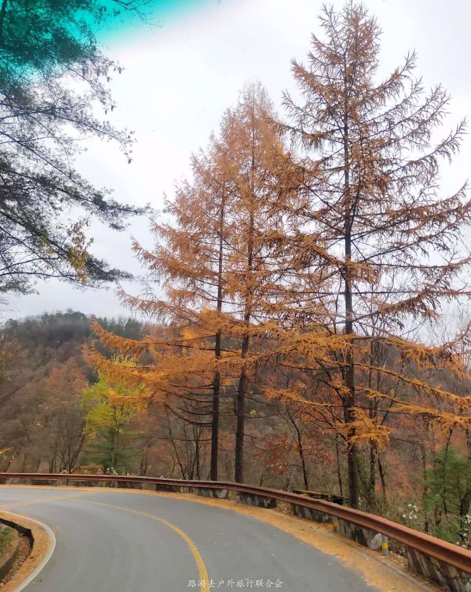 fbaWhFrNStuASBBN0MpFMpTHf1dq6UYHDf733ZwPjU5QguX3tvTuYqUS9_C6TL-A