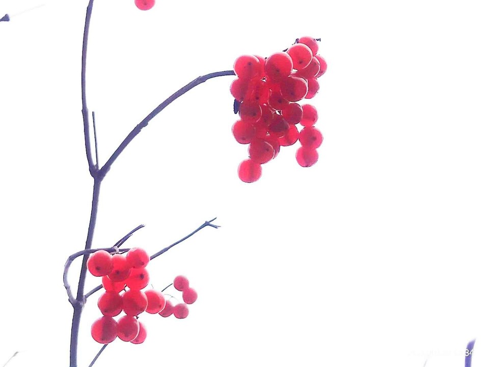 aaHNMk3GCsQPztHYndgSe0RXwUG2GdapXRU_mtwpFRBMI067etA_HjkWnAnjba_0