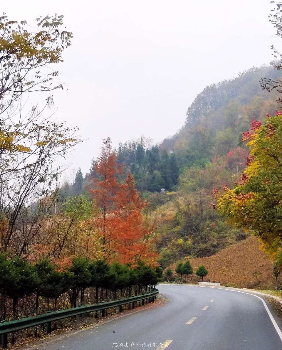 y8OVyMj8GU5kQwfrD93NmzSEb9deQT9yr4d-ItZJO4YLhA3Z7twbSKIek84lrKxZ