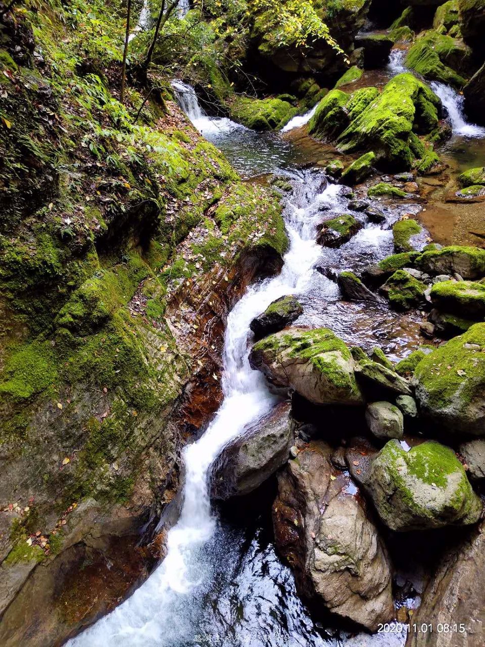 AC8j35GrcocZUeQJulT1zgJVhmEYghKOg0ir8GsEb0RwfWzKQ-z9hKJ8jyi3Nyh4