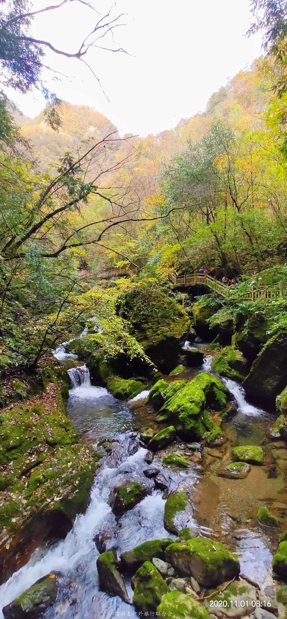 QUT-i02M2_mzLZs9OVJ7mH2DJFCB-5Q_C6MOd4tl6KukhzEpDUWoNOAAHGEQQWVW