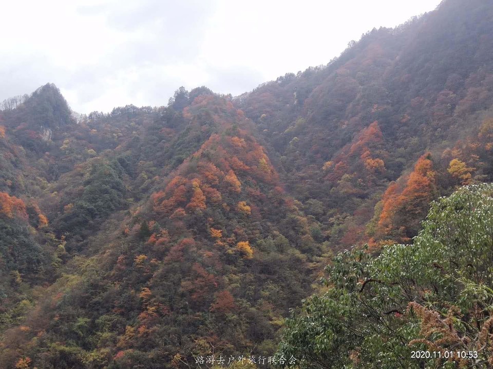 MUSDl-l0r75Szt6gb17soQyaPKKW70xAGQEow1YJ01Wnc-Sx2zdZKzHLUxTZEK9y