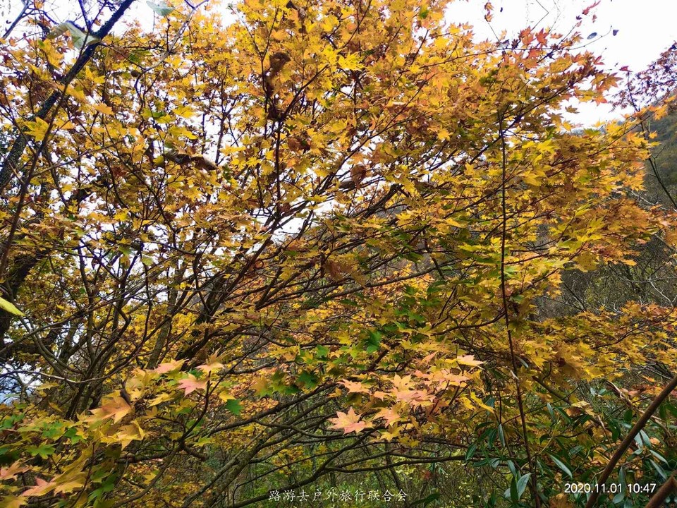 Q_I6E6T_y28h3G_Tr7CM1af-F2mgf3bNNDWx_y7LMDU5bnJSP6XUv_Pra_MSPvEt