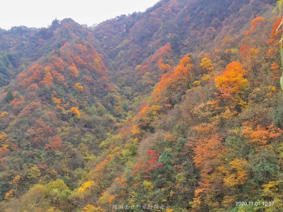 xs8LE5oD-mXN35q7Bl3BiiwRj1f7_nlmHcbi0KBKVqEV6yOWB9IsPF8jdHoM8vEy