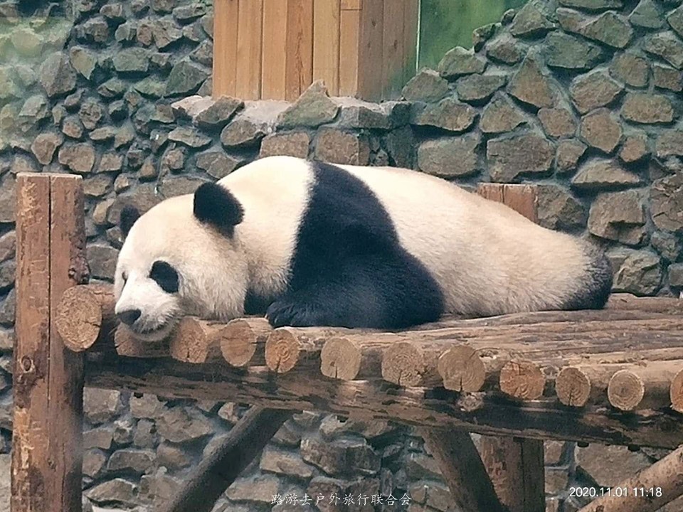 8K-j46925CGh7UvNYDSrHmbiaZlN-0UikT1SZMJJxupWToTU5QECQv4_VJeYdFOM